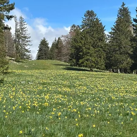 In Near The Lakebeach Prázdninový dům *
