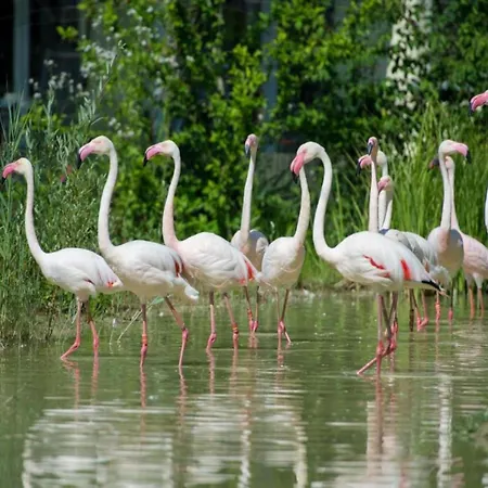 In Near The Lakebeach *