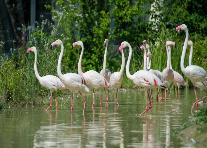 In Near The Lakebeach *