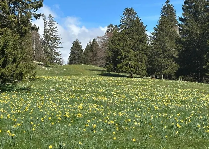 בית נופש In Near The Lakebeach *